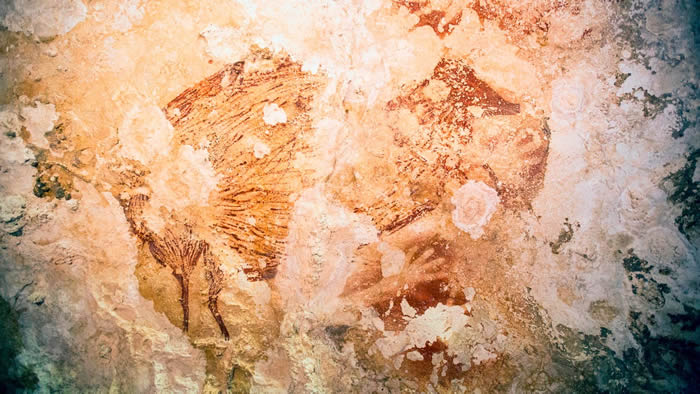 ̽Ѱ���ྫ����������Դ