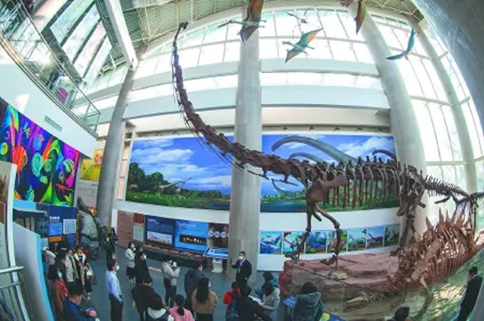 Ԫ��һ��ȥ�Ͼ������ﲩ��ݹ��