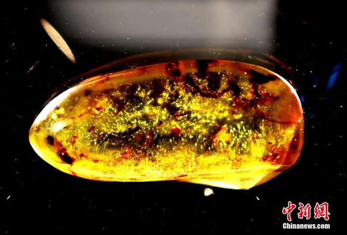 ������Ȼ����������ȫ��������Ʒչ���ڸ���ʡ����Ժչ��