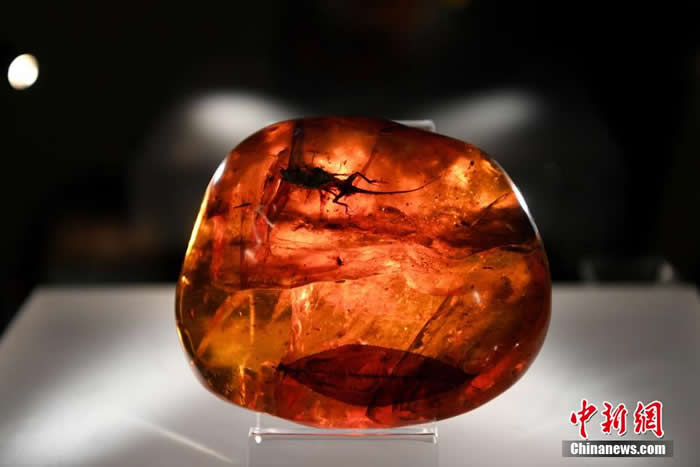 ������Ȼ����������ȫ��������Ʒչ���ڸ���ʡ����Ժչ��