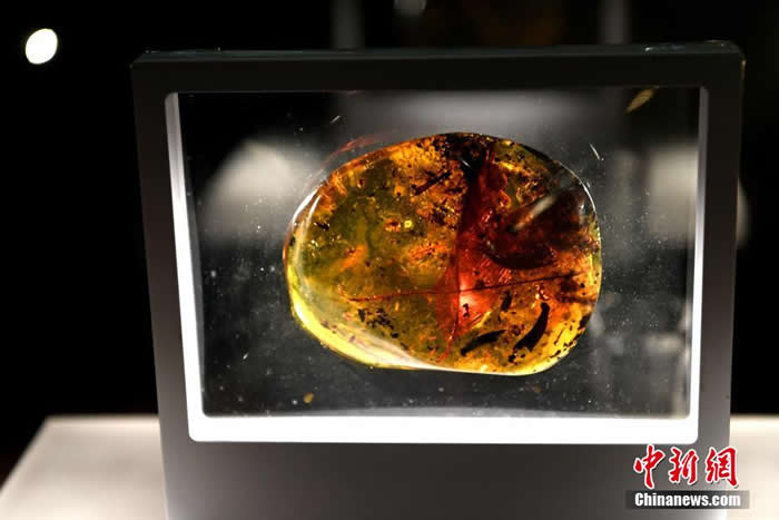 ������Ȼ����������ȫ��������Ʒչ���ڸ���ʡ����Ժչ��