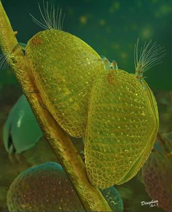 ����ϵľ���