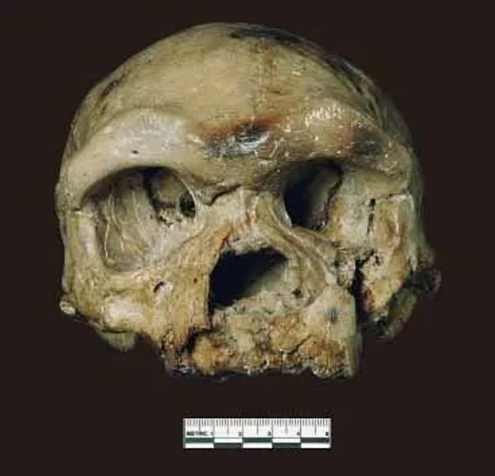 ������­�ǣ������ݻ���������̬��Ƕ����֤