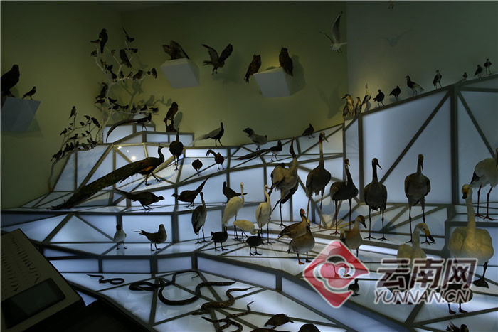 ���ϳν���ʯ����Ȼ������ѳ�Ϊ��������ԵĿ��ջ���