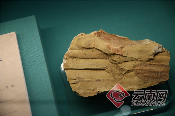 ���ϳν���ʯ����Ȼ������ѳ�Ϊ��������ԵĿ��ջ���