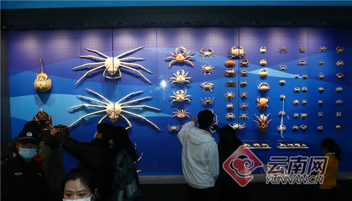 ���ϳν���ʯ����Ȼ������ѳ�Ϊ��������ԵĿ��ջ���