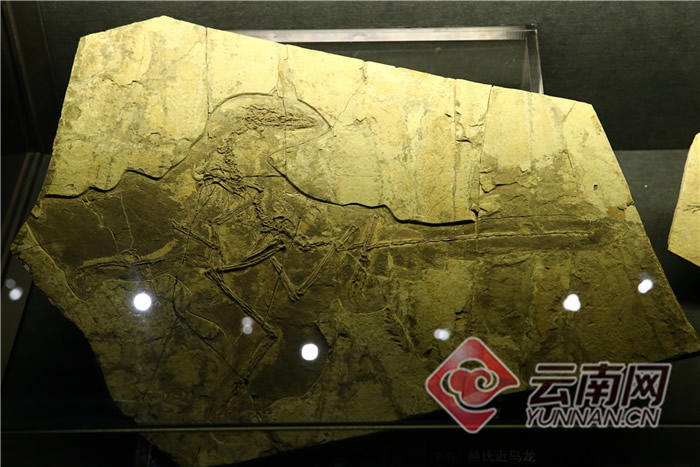 ���ϳν���ʯ����Ȼ������ѳ�Ϊ��������ԵĿ��ջ���