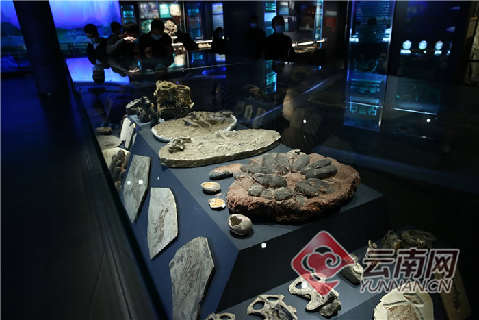 ���ϳν���ʯ����Ȼ������ѳ�Ϊ��������ԵĿ��ջ���