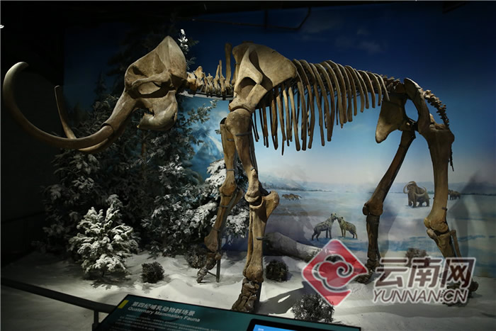 ���ϳν���ʯ����Ȼ������ѳ�Ϊ��������ԵĿ��ջ���