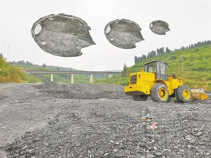 �����������������������ʶ�