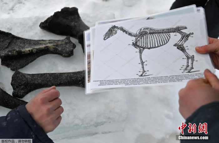 ���в����ӵ��̳��Ĺ�����ʯ��һ��ŷ��Ұ���Ǽܵ�չʾͼ