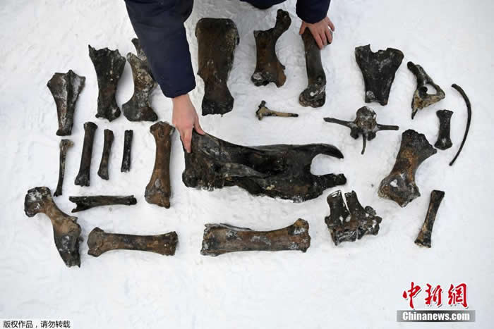 1��4�մ��в����ӵ��̳��Ĺ�����ʯ