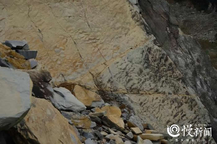 λ����������Ĳ����ż�