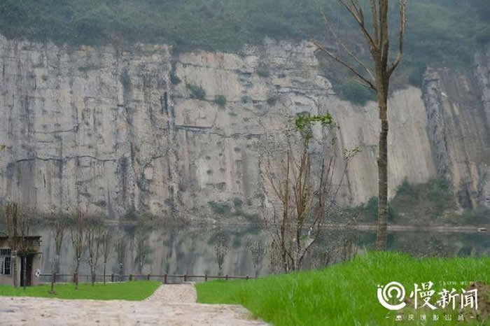 �����´岨���ż�