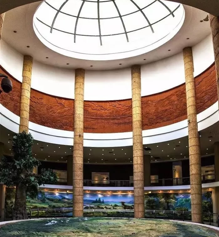 ȫ����������ս������أ������Ŷ��ﻯʯ�����