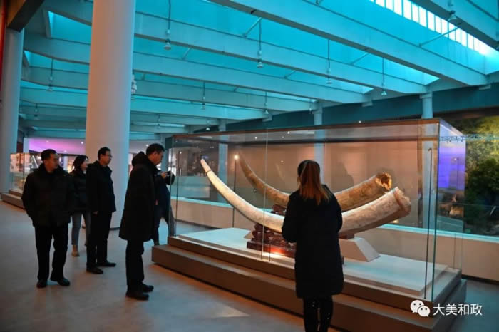 ��������֯��������ý��ɷñ������������Ŷ��ﻯʯ����ݿ�չ�ɷñ���