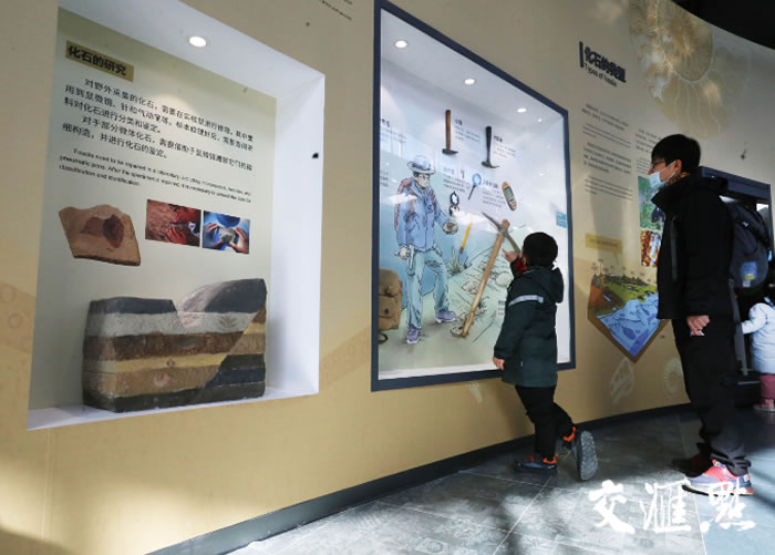 �߽�ȫ��������Ͼ������ﲩ���