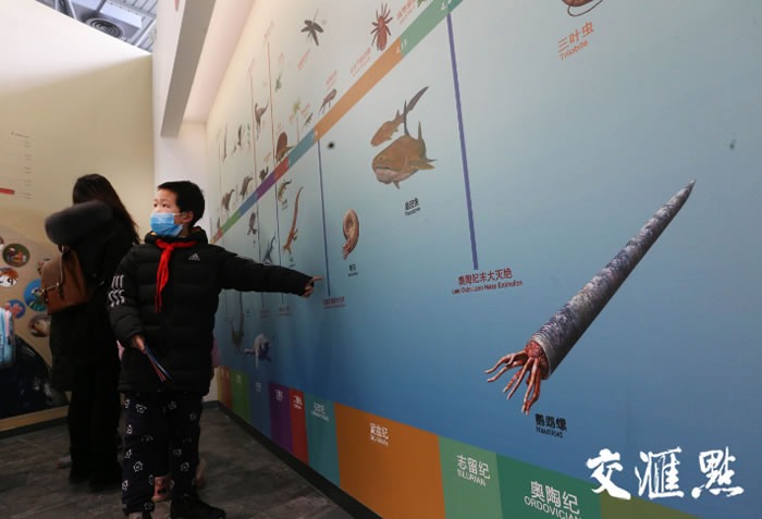 �߽�ȫ��������Ͼ������ﲩ���