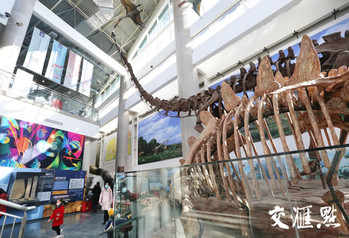 �߽�ȫ��������Ͼ������ﲩ���