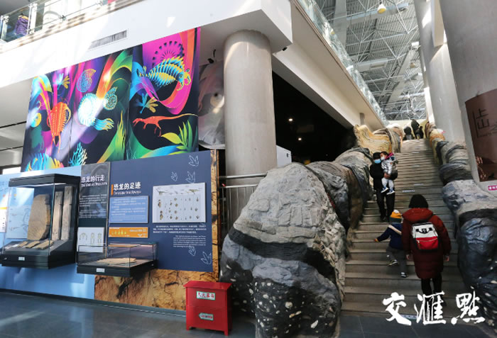 �߽�ȫ��������Ͼ������ﲩ���