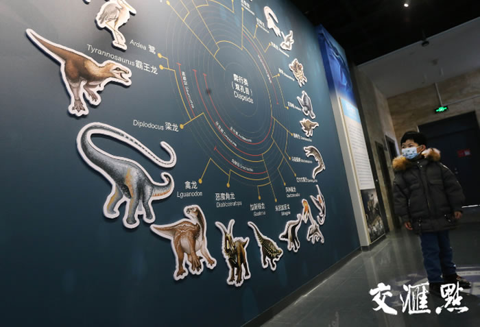 �߽�ȫ��������Ͼ������ﲩ���