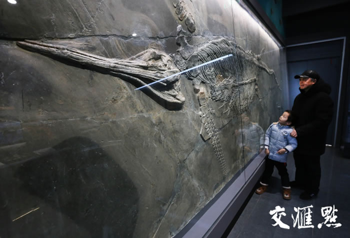 �߽�ȫ��������Ͼ������ﲩ���