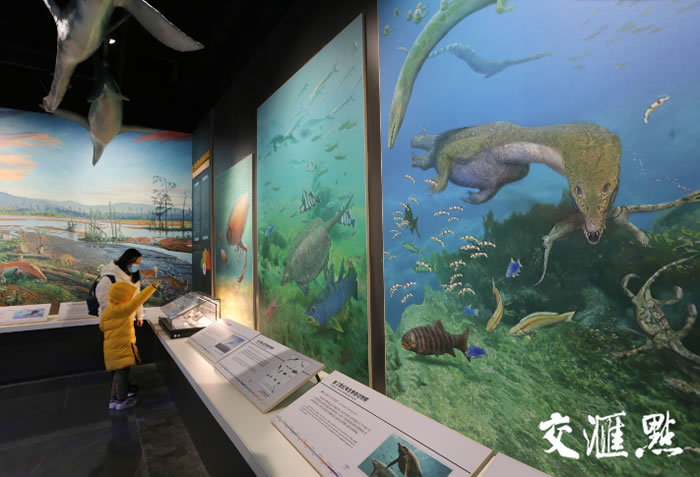 �߽�ȫ��������Ͼ������ﲩ���