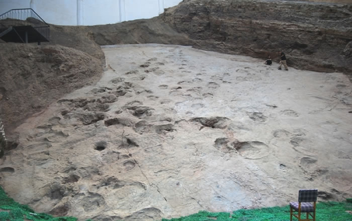 ���Ŷ��ﻯʯ֮�硱����������͡��й�����֮�硱����������