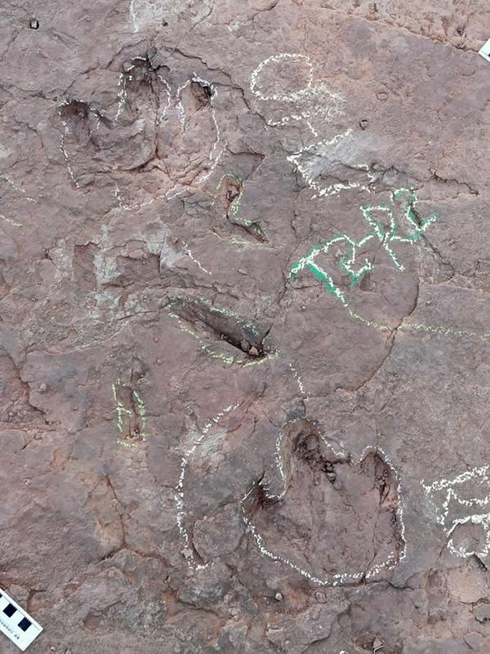 Ѽ�����㼣����