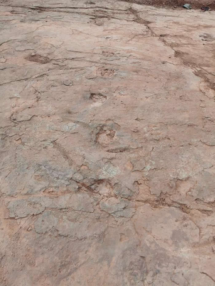 �������µ��м��ǳ�����