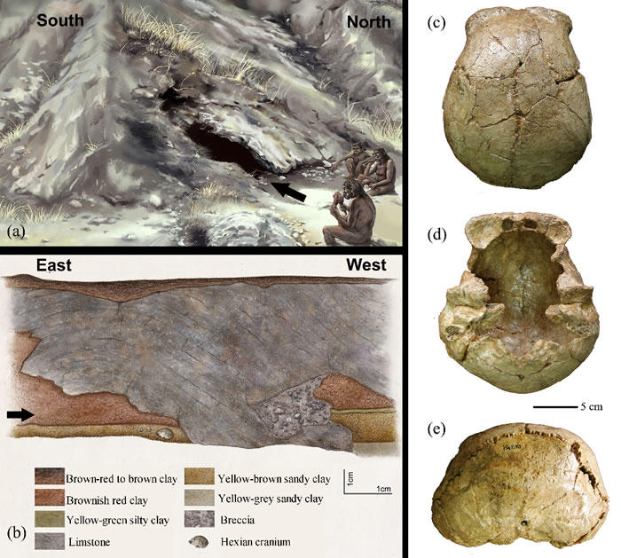 ������ͷ�ǻ�ʯ��������Ѩ���ز���Ϣ����Ф�ϡ�����ܹ�ͼ��