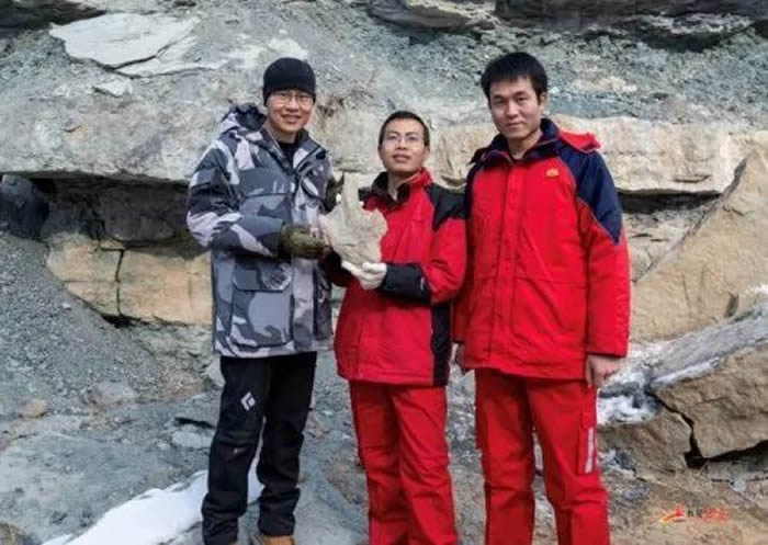 �Ӱ��������������㼣��ʯ