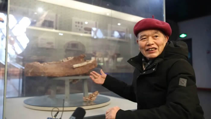 江西赣州出土7000万年前正在孵蛋的窃蛋龙化石