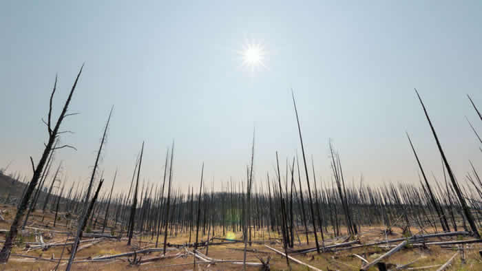 ��������ѧǰ�ء�����������������������ʱ��