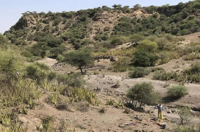 �����ڰ¶�����Ͽ�Ȼ������֤�ݿ���׷�ݵ���Լ200����ǰ