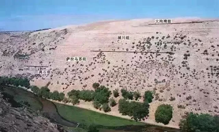 2021�����ɹŽ��ƶ��������������տ�����ַ��԰����