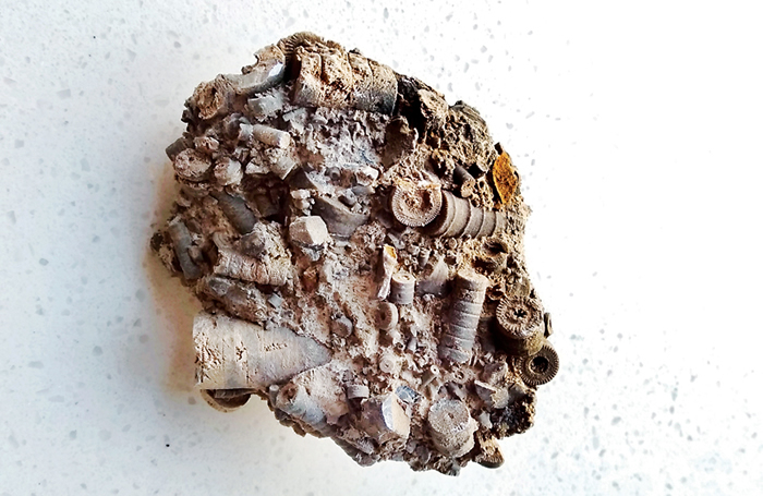 ��Ȫ����ɢ�����֡���������������˿���� ר���ж�Ϊ2.95����ǰ���ٺϻ�ʯ