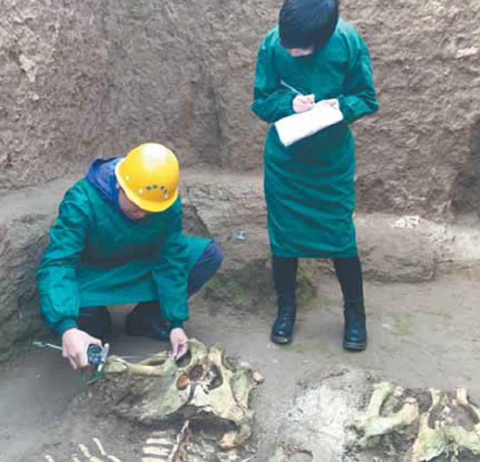 ��ѧ���ں�ģʽ�ƽ����й����￼��ѧ�ֿ��ֺõ���ǰ��չ