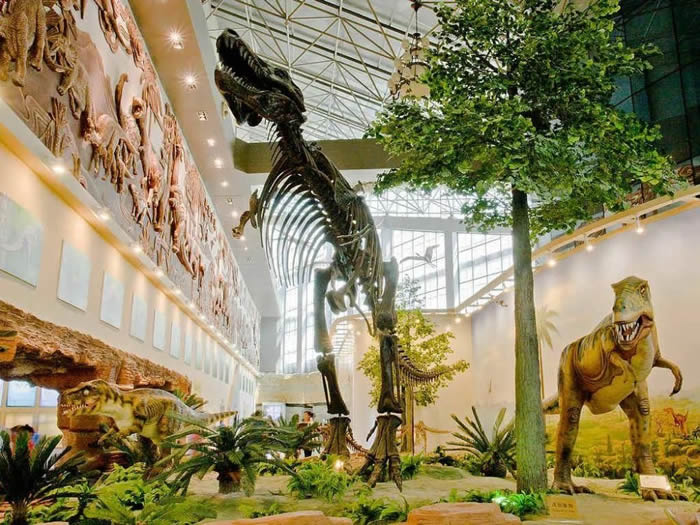 ����•����������ҵ��ʹ�԰��ʱ��԰