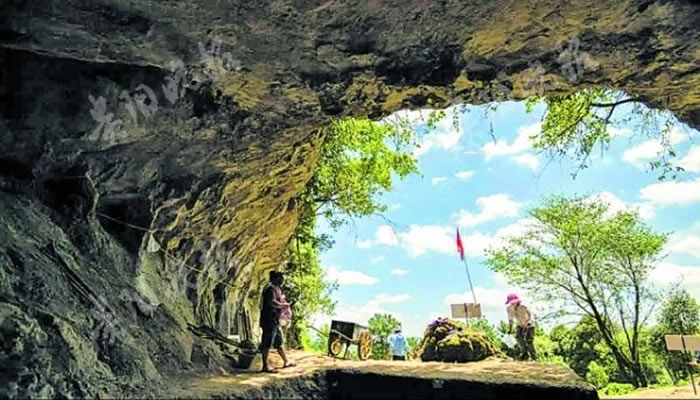 �й�����ַ����2020���ȫ��ʮ�󿼹��·��ֳ������� �������ۼ���׷����4����ǰ