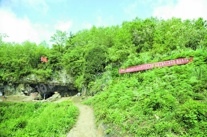 �й�����ַ����2020���ȫ��ʮ�󿼹��·��ֳ������� �������ۼ���׷����4����ǰ