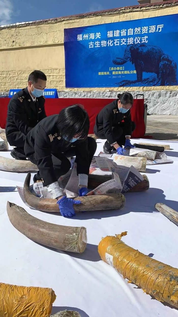 ���ݺ��ط�û��67������������ʯ����ʽ�ƽ�����ʡ��Ȼ��Դ��