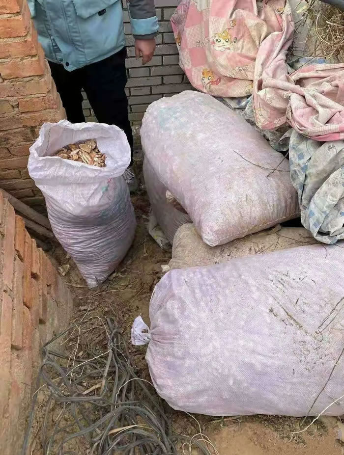 米脂县公安局打掉盗掘古脊椎动物化石团伙 收缴化石400余公斤