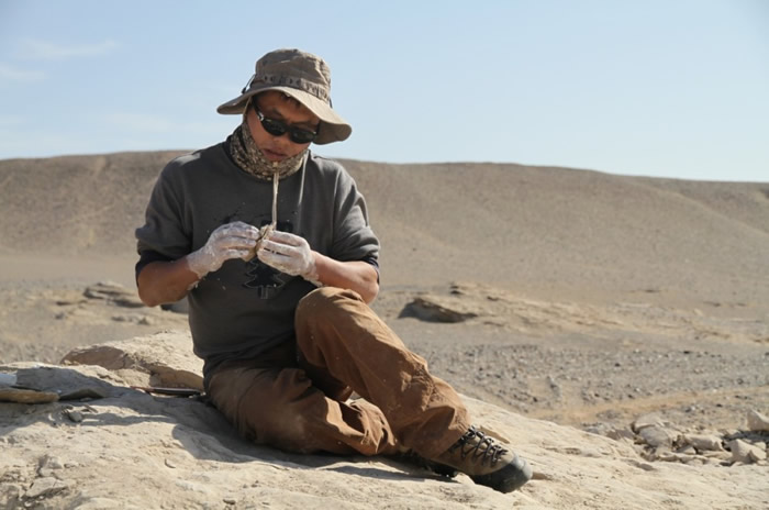 ���������֡����п�Ժ�������о�Ա��ʮ���������ڽҿ����������������δ��֮��