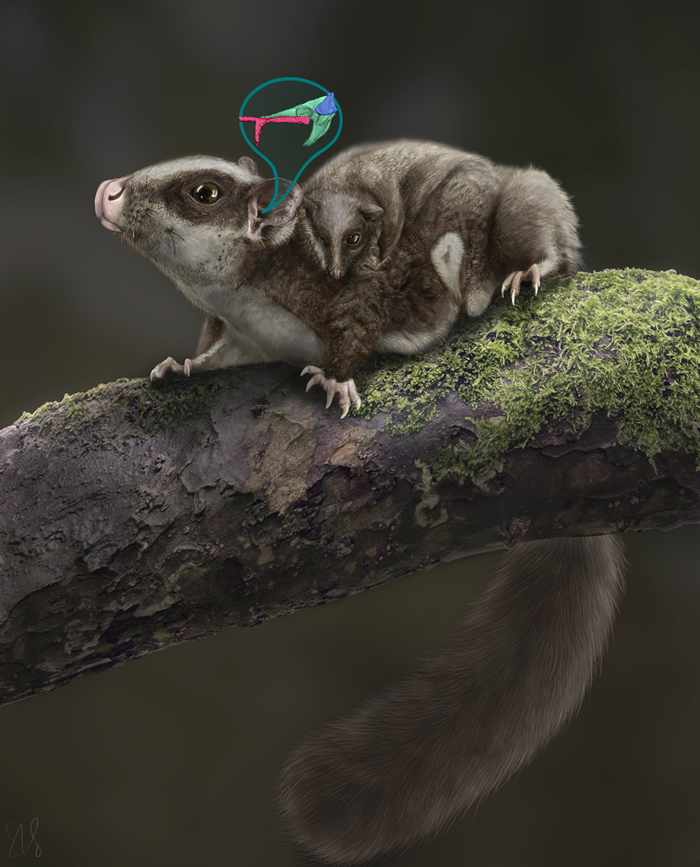 ����޸�ԭͼ