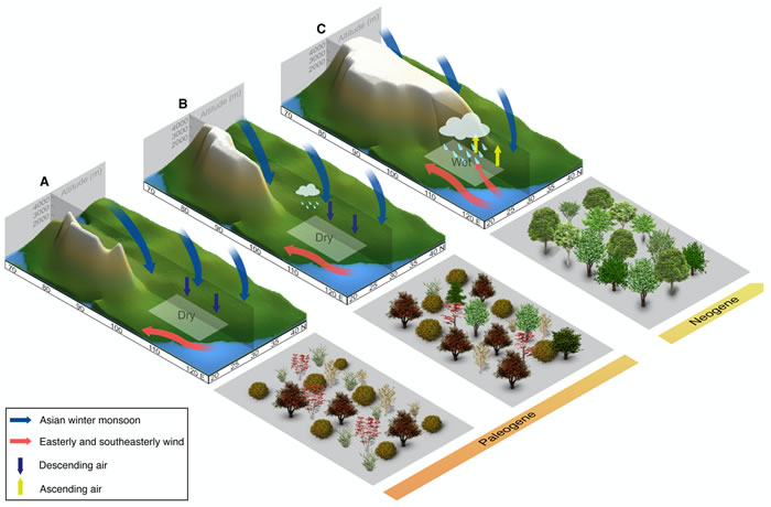 ��ظ�ԭ¡����ֲ��������������ݱ�ʾ��ͼ