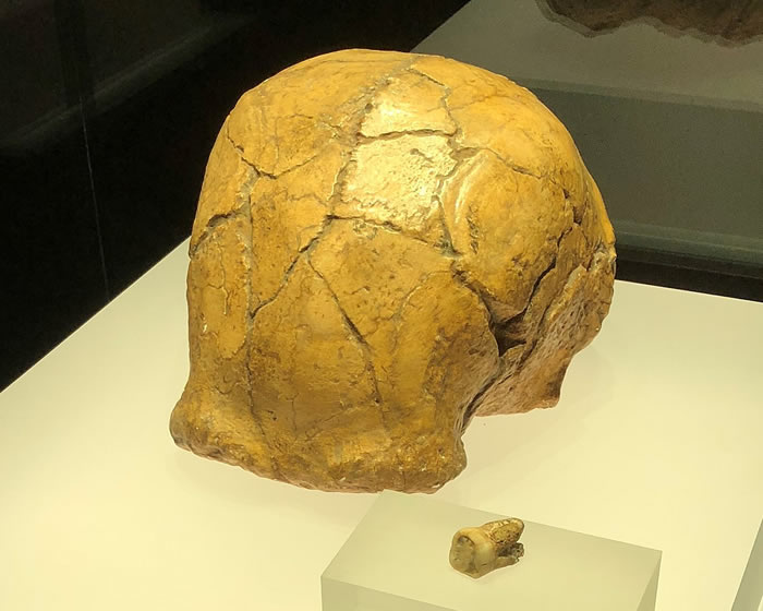 ����ʡ�˴���������ǿ����Գ����ַ��������