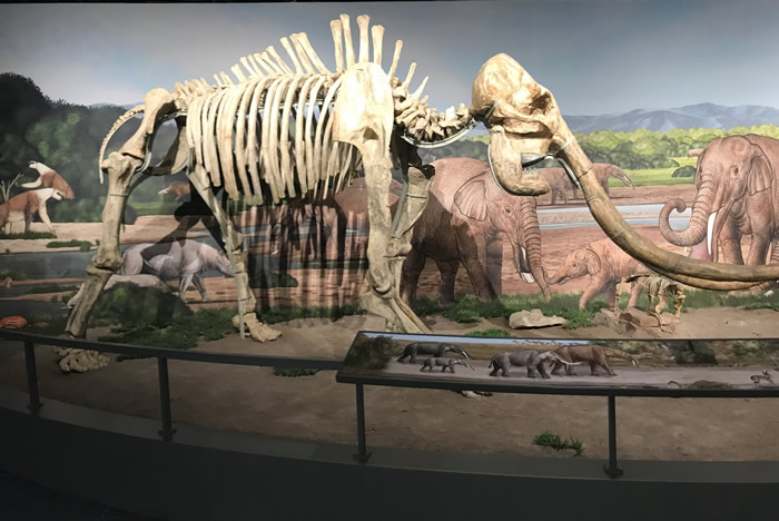 �Ͼ������ﲩ��ݴ����ڼ俪���������ȡ�ģʽ ��һ��������������