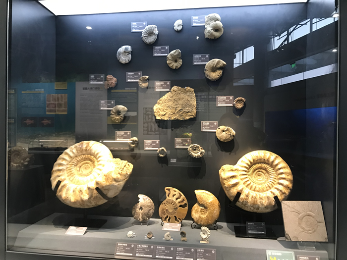 �Ͼ������ﲩ��ݴ����ڼ俪���������ȡ�ģʽ ��һ��������������