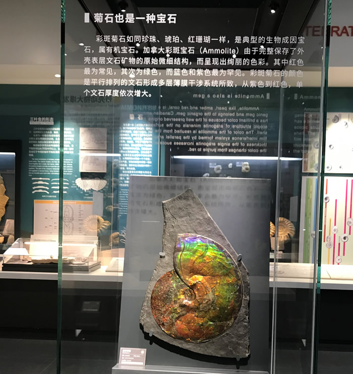 �Ͼ������ﲩ��ݴ����ڼ俪���������ȡ�ģʽ ��һ��������������